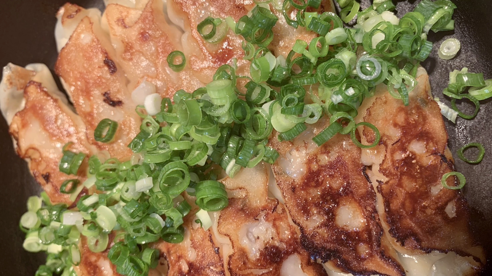 希少なあぐー豚で作ったひとくち餃子 焼きぎょうざ。アツアツをお召し上がりください。